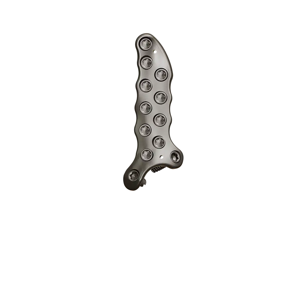 FLIP