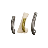 LEAP_onbone