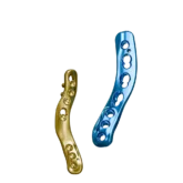 MAP_NoBone.web